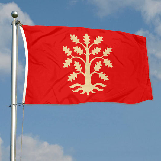 Fyon Agder County, Norway Flag Indoor and outdoor banner