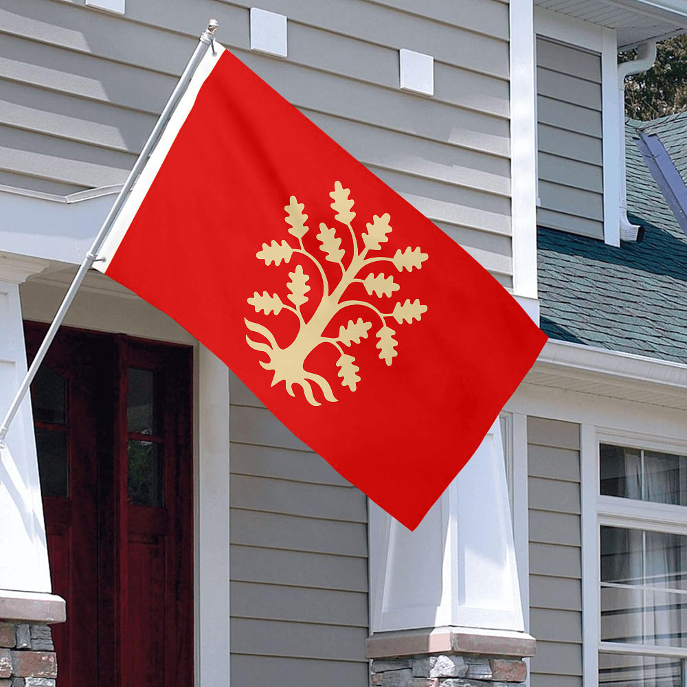 Fyon Agder County, Norway Flag Indoor and outdoor banner
