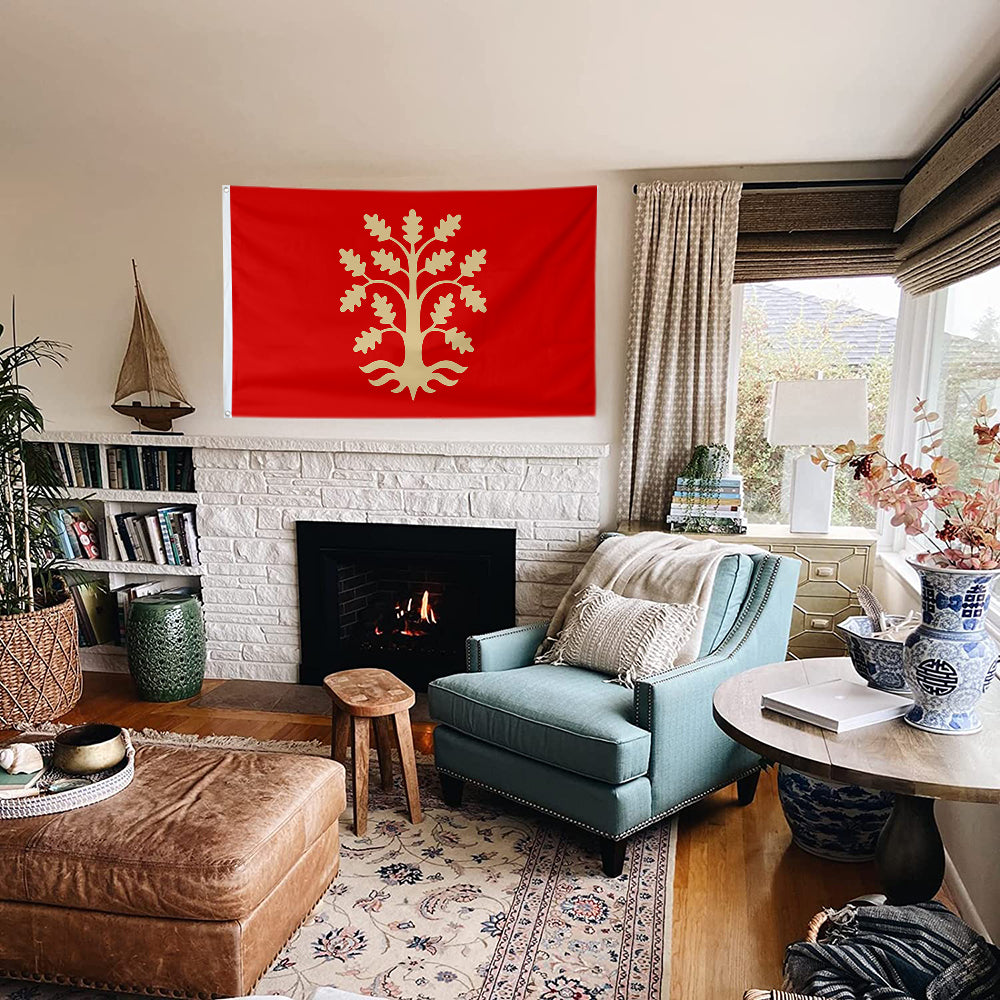 Fyon Agder County, Norway Flag Indoor and outdoor banner