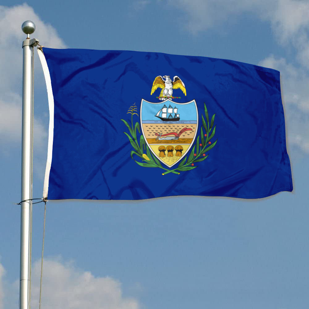 Fyon Allegheny County Flag Banner