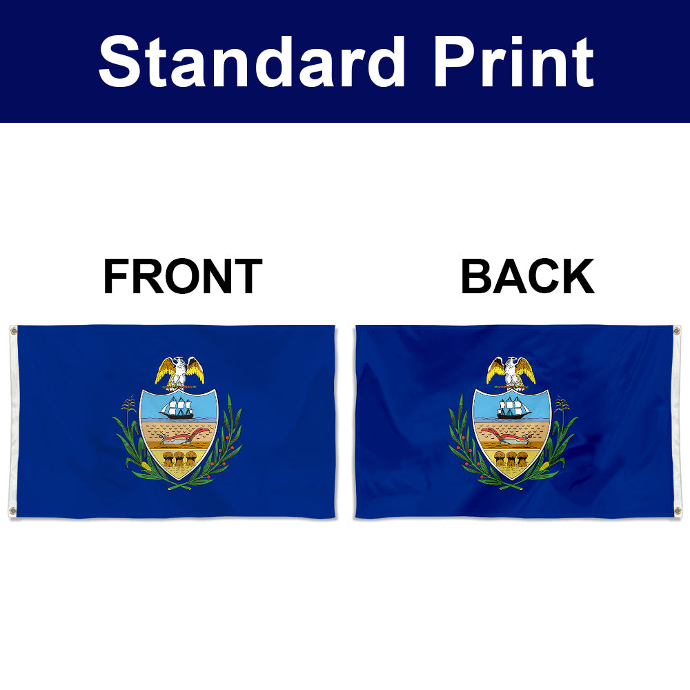 Fyon Allegheny County Flag Banner