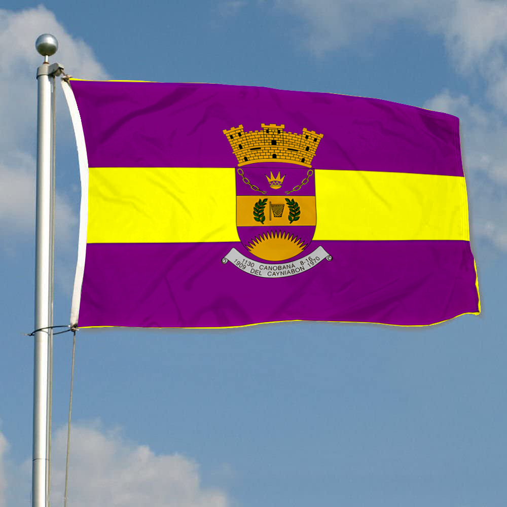 Fyon Canovanas, Puerto Rico Flag Banner