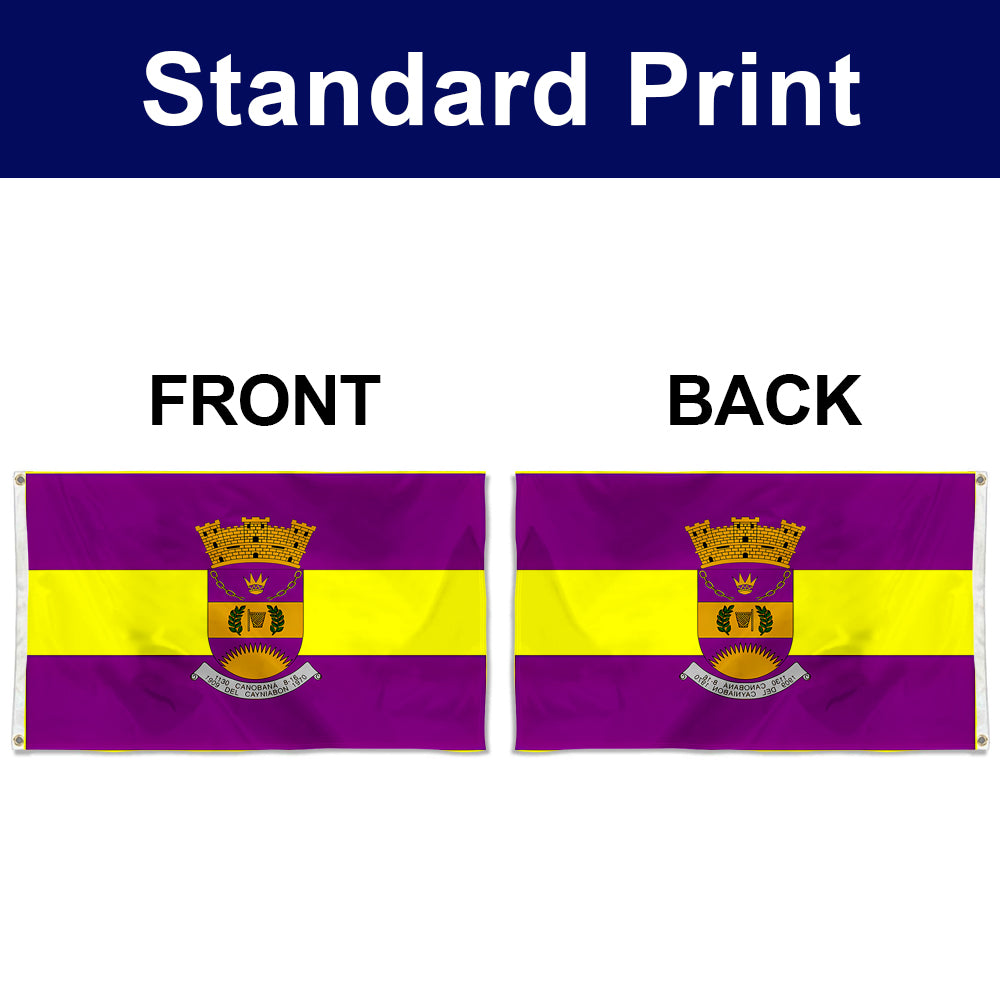 Fyon Canovanas, Puerto Rico Flag Banner