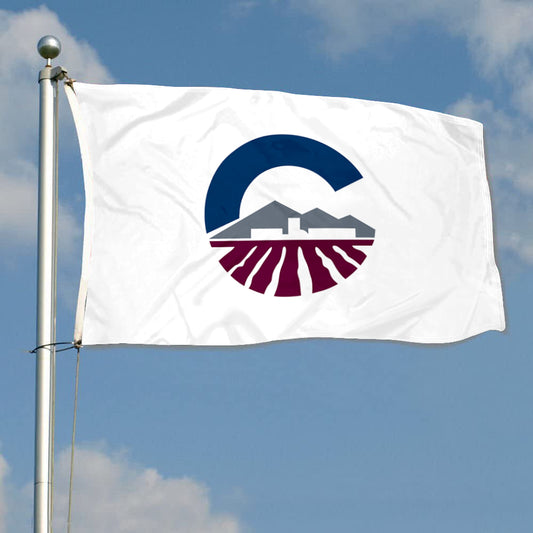 Fyon Chandler, Arizona Flag Banner