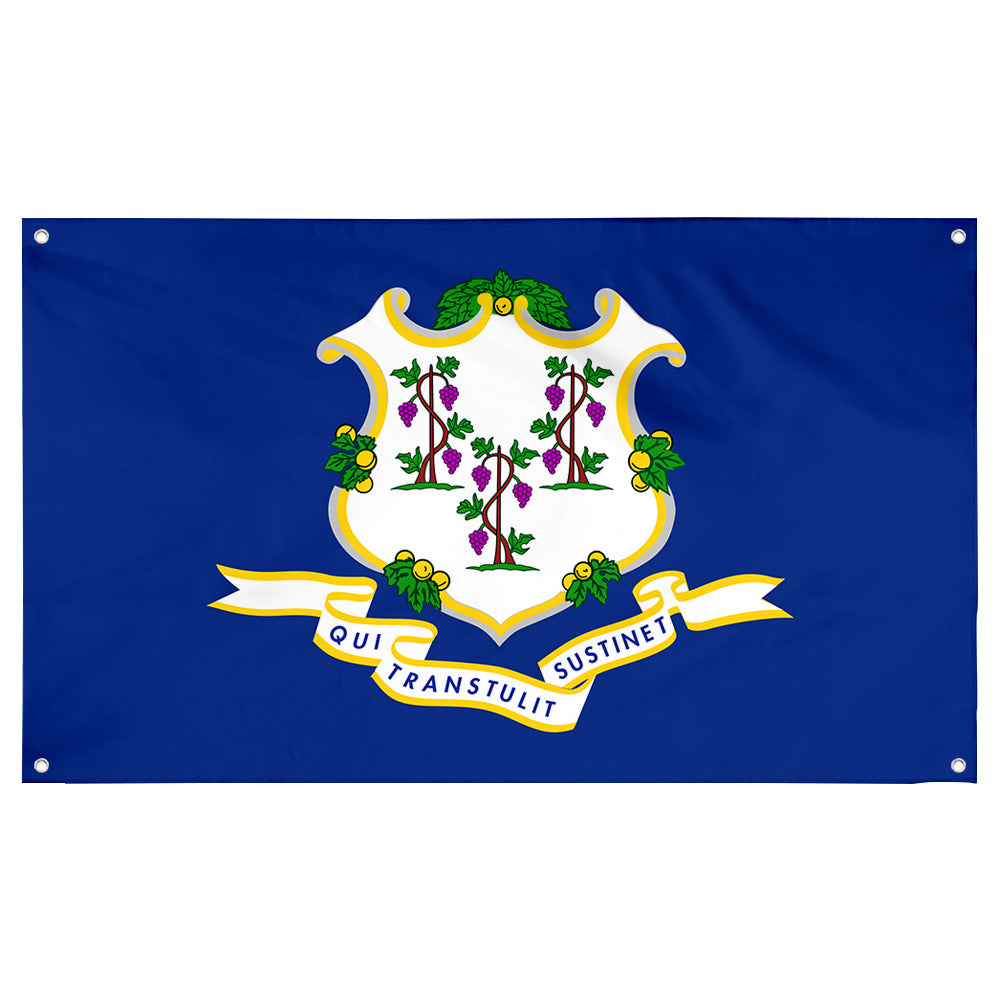 Fyon Connecticut Flag Banner
