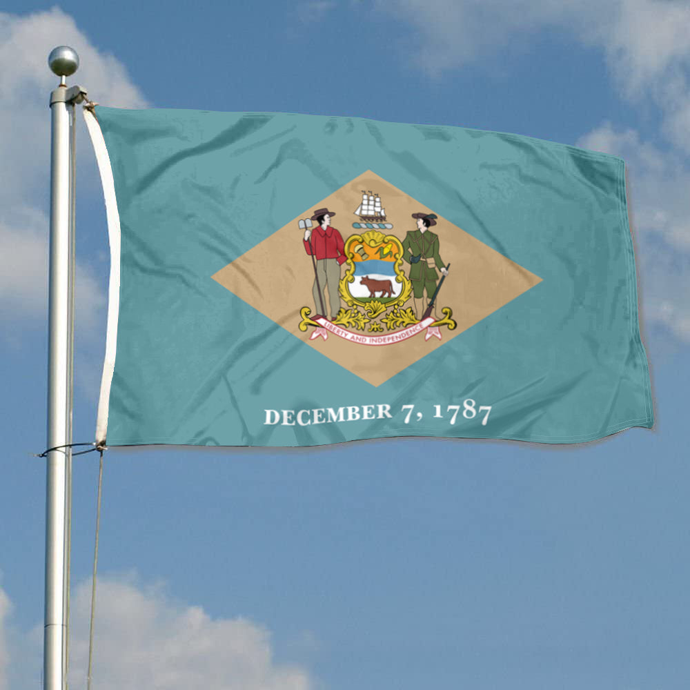 Fyon Delaware Flag Banner