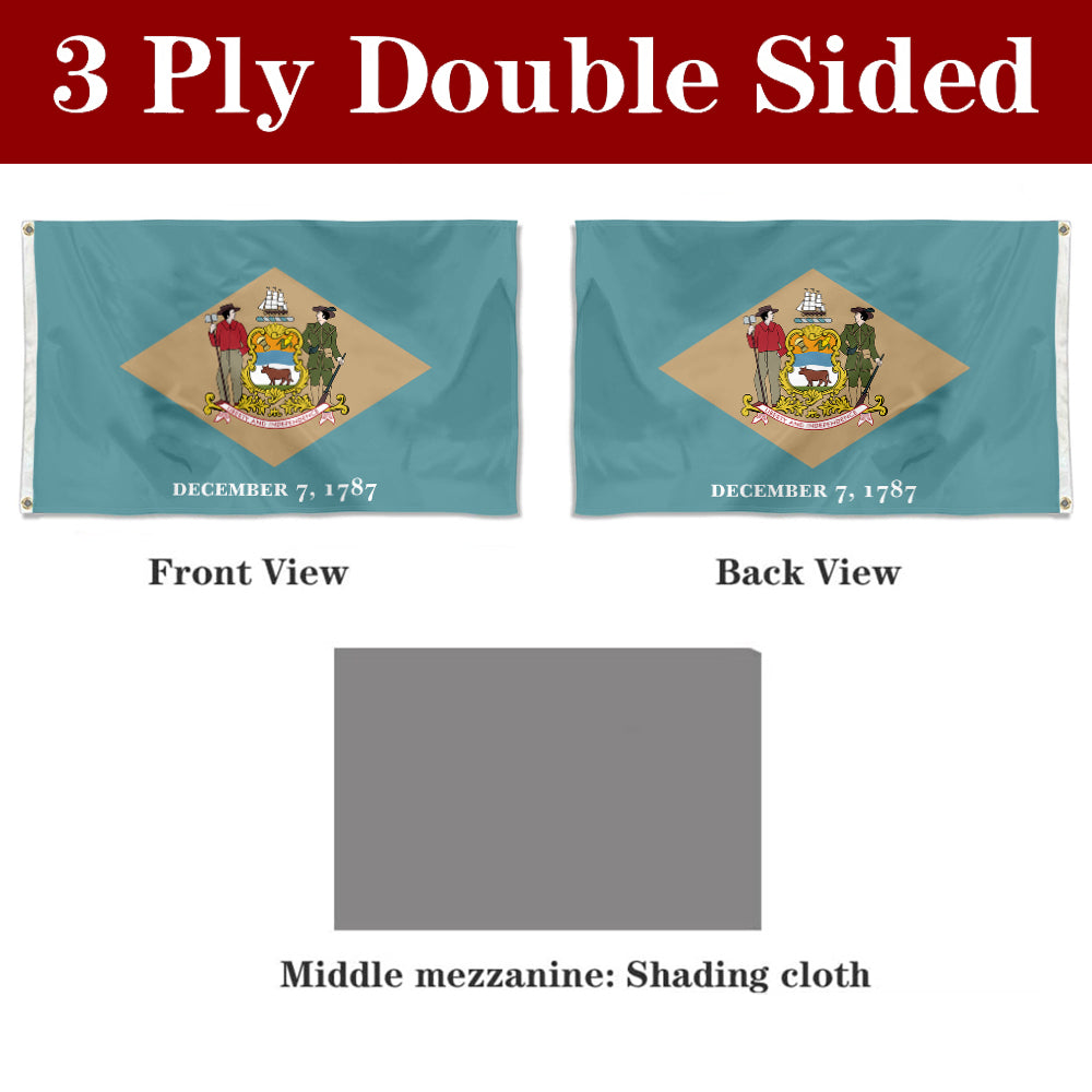 Fyon Delaware Flag Banner