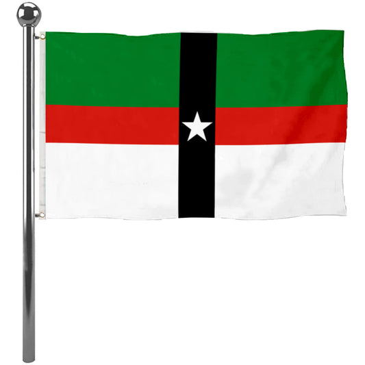 Fyon Denison,Texas Flag Banner