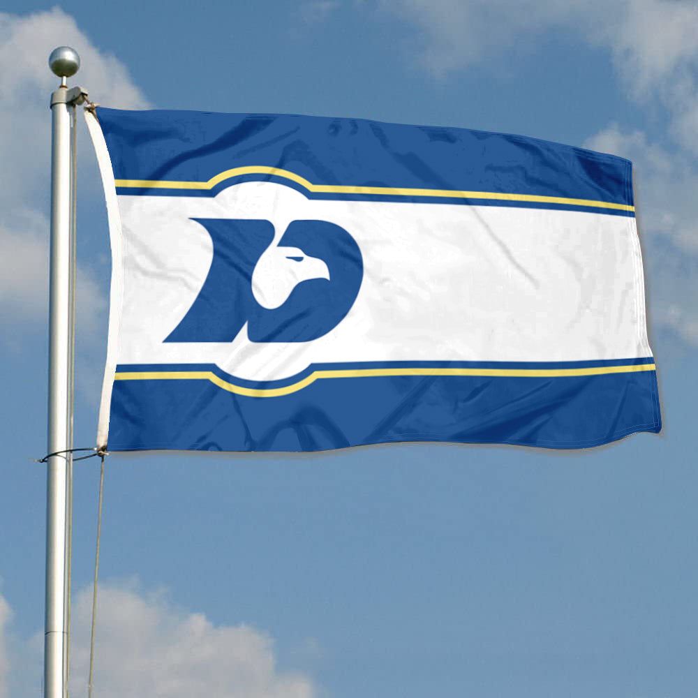 Fyon DeSoto,Texas Flag Banner