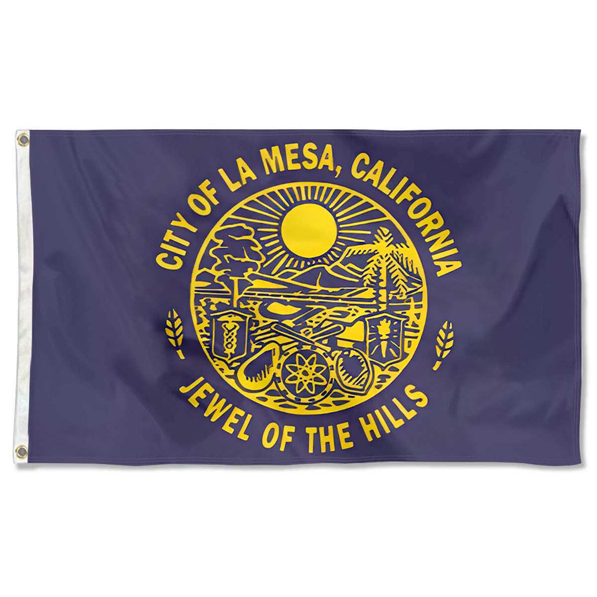 Fyon La Mesa, California Flag Banner