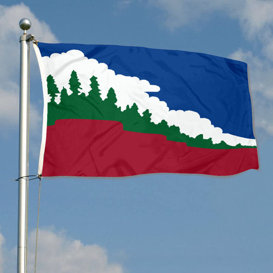 Fyon Paradise, California Flag Banner