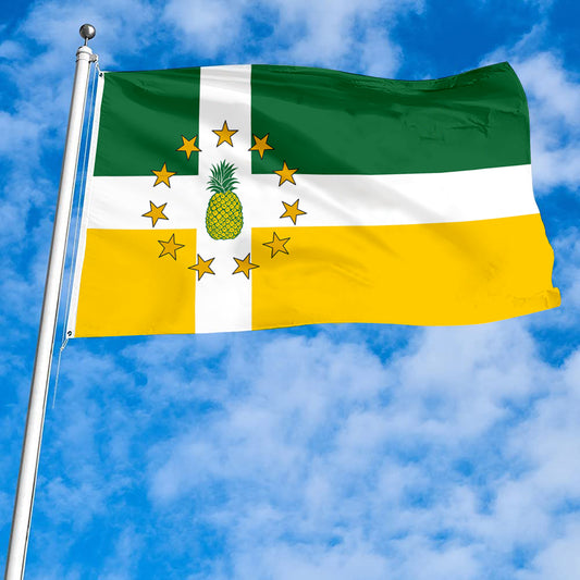 Fyon Lajas, Puerto Rico Flag Banner 92323