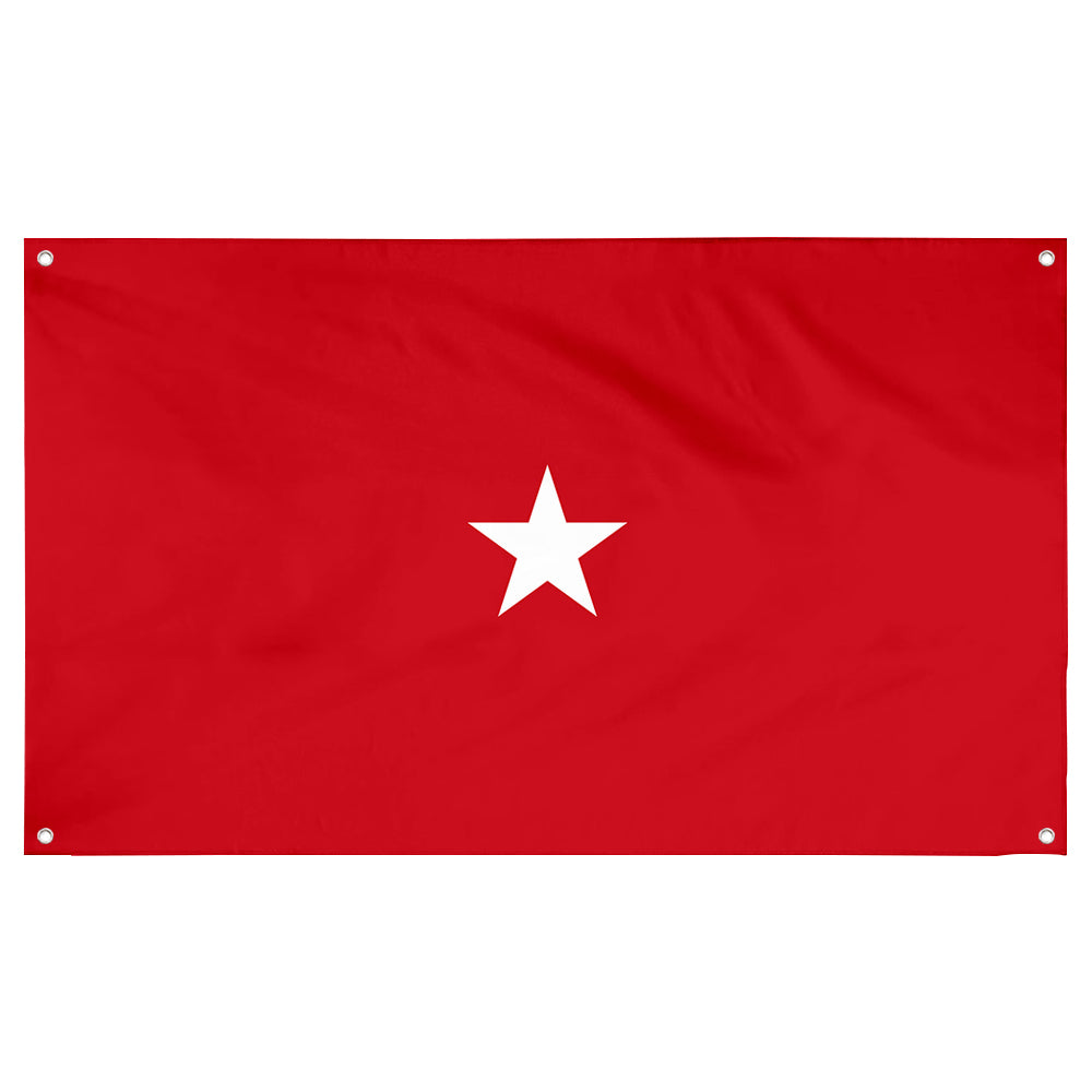 Fyon US brigadier general Flag Banner