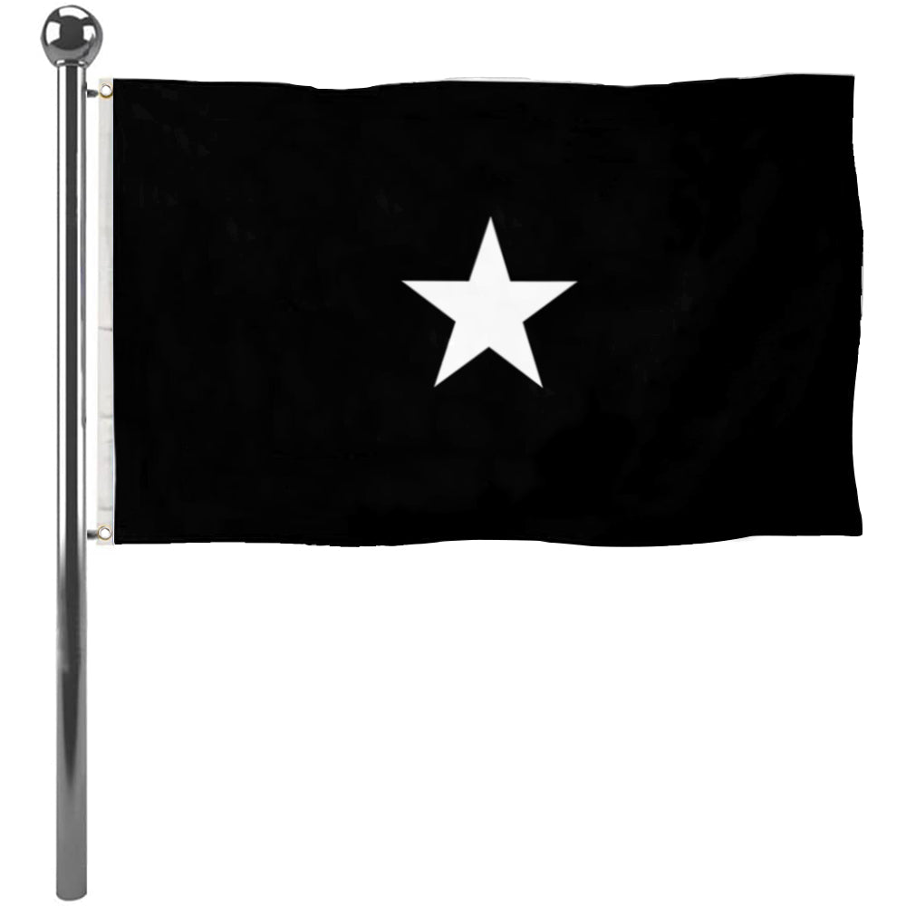 Fyon A Space Force brigadier general Flag Banner