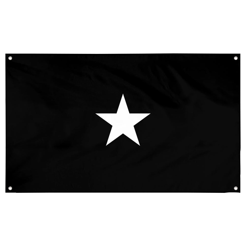 Fyon A Space Force brigadier general Flag Banner