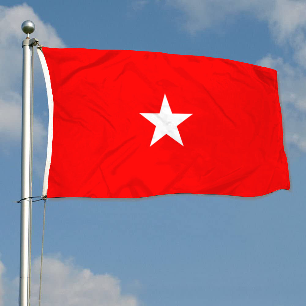 Fyon An Army brigadier general Flag Banner
