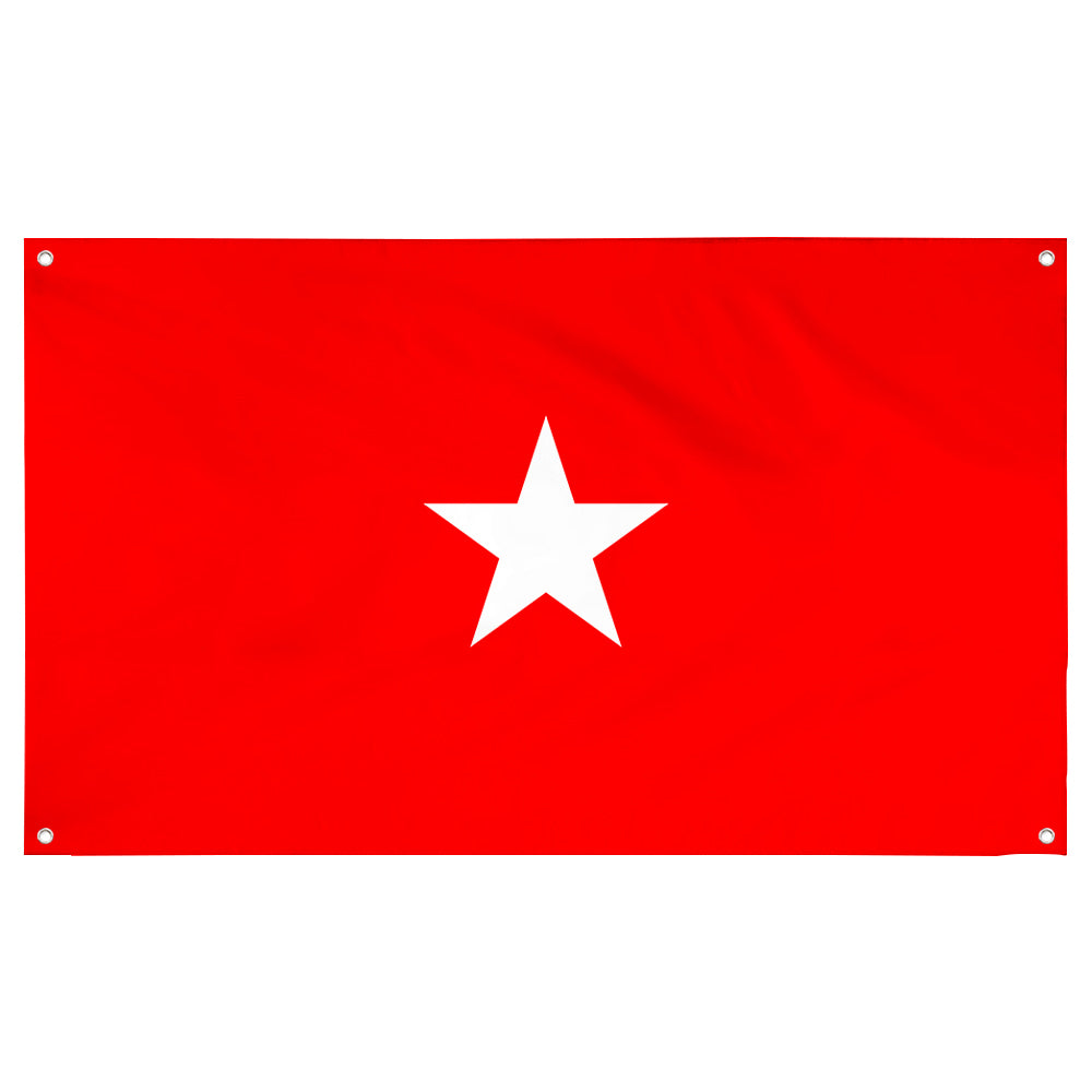 Fyon An Army brigadier general Flag Banner
