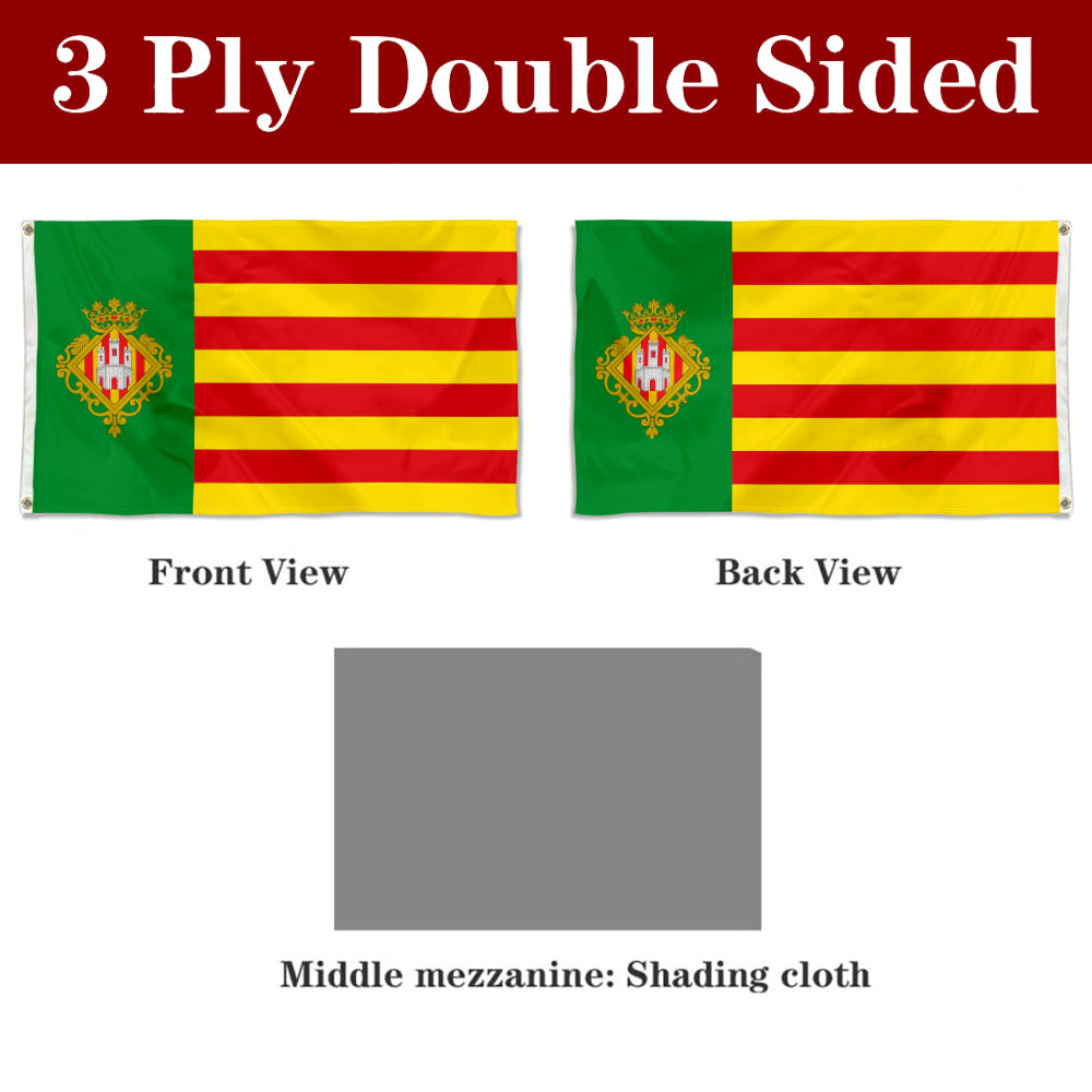 Fyon Castellón de la Plana Valencian Community, Spain Flag banner