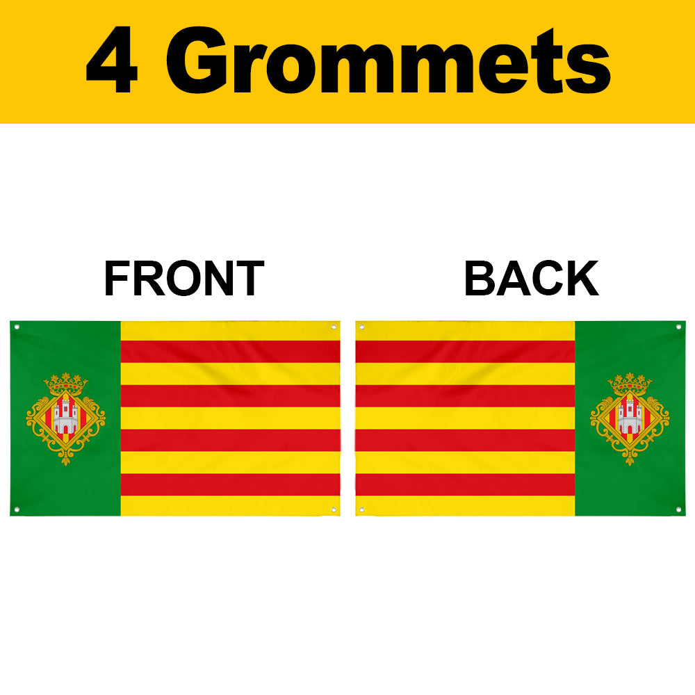 Fyon Castellón de la Plana Valencian Community, Spain Flag banner