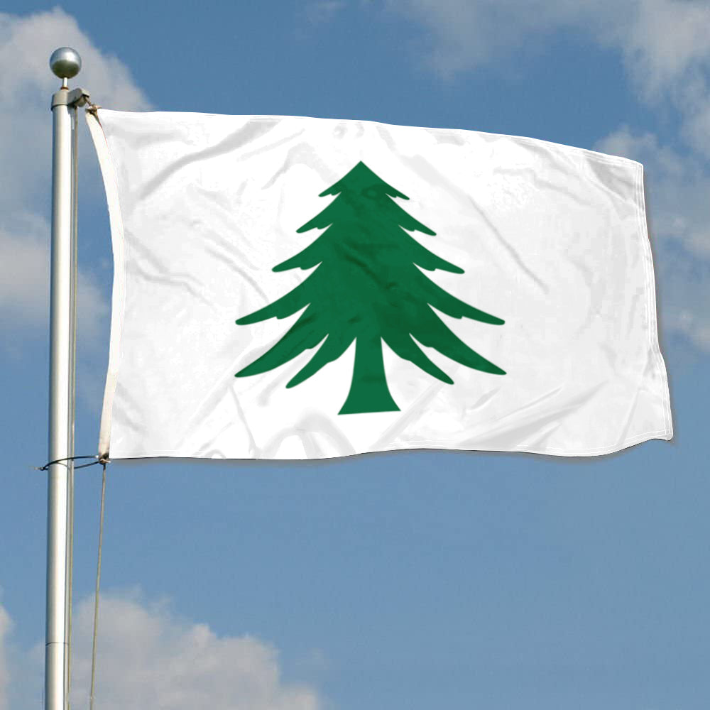 Fyon Naval Ensign of Massachusetts Flag Banner