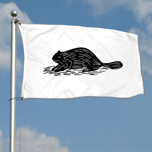 Fyon Naval ensign of New York (1775) Flag Banner