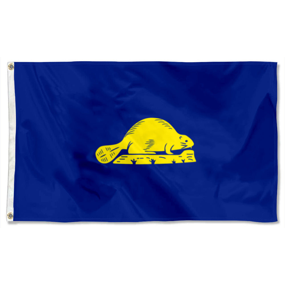 Fyon Oregon Flag Banner