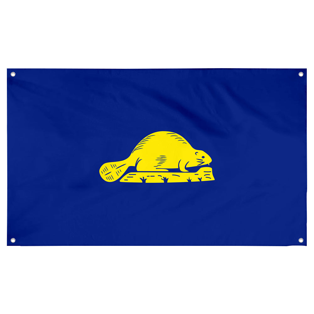 Fyon Oregon Flag Banner