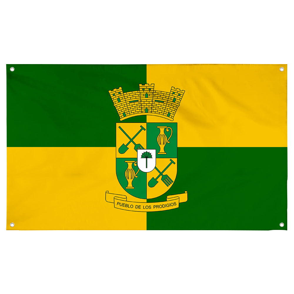 Fyon Sabana Grande, Puerto Rico Flag Banner