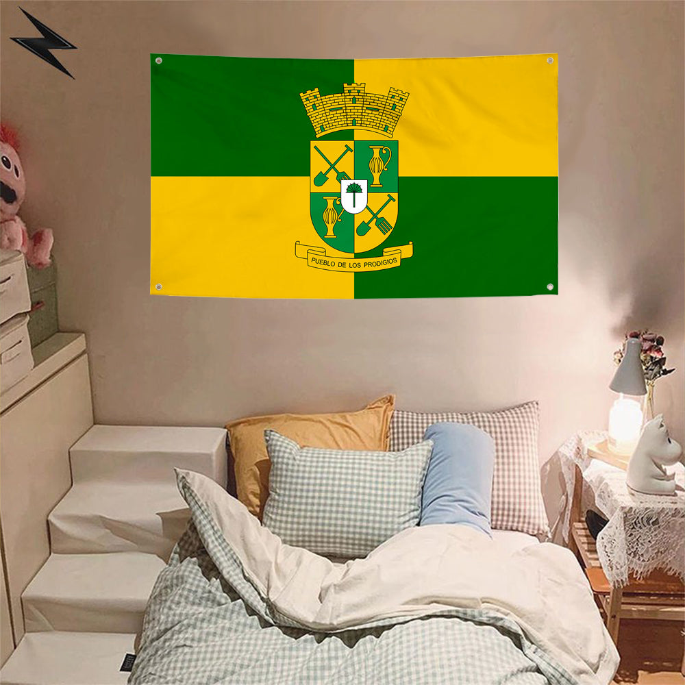 Fyon Sabana Grande, Puerto Rico Flag Banner
