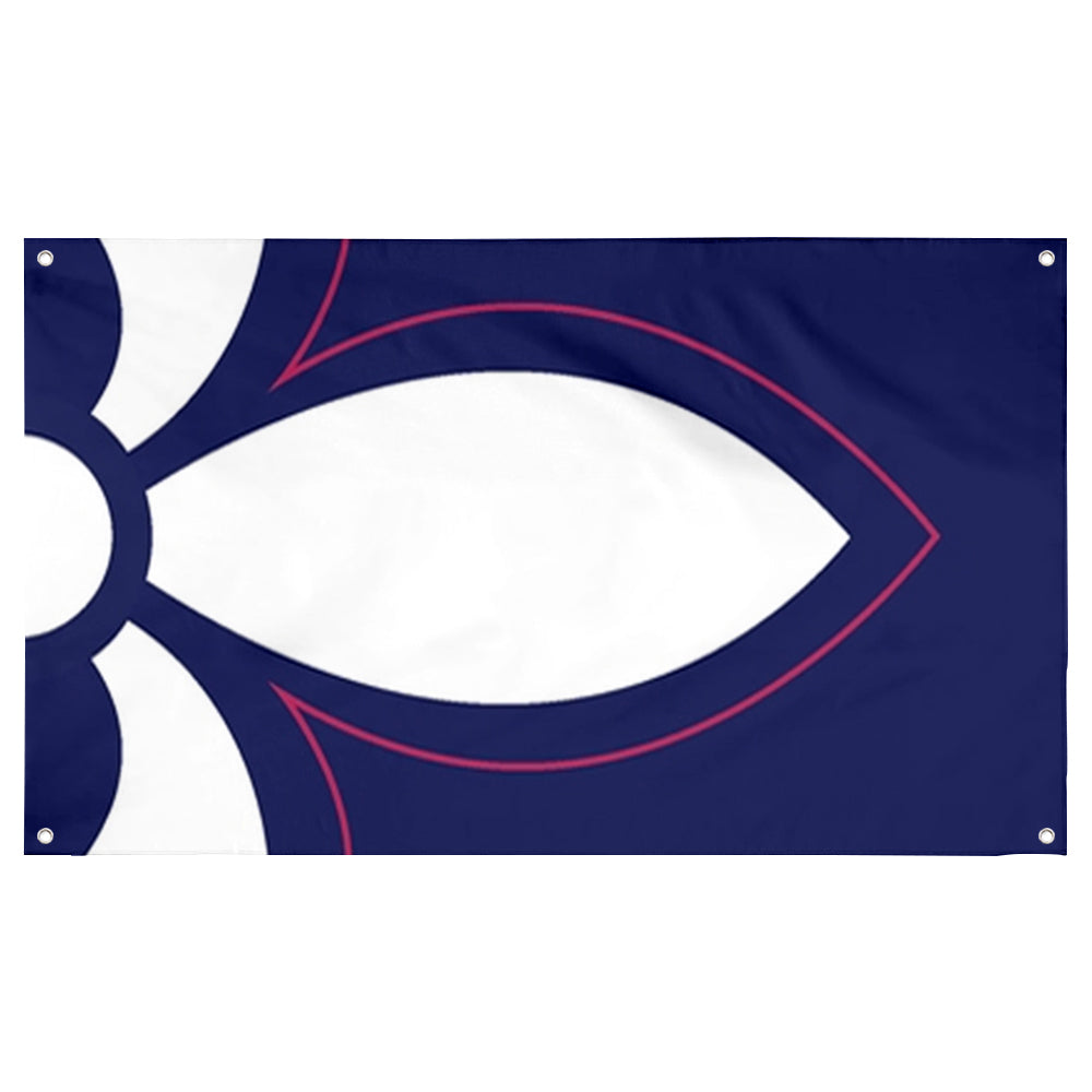 Fyon Saint Louis County Flag Banner