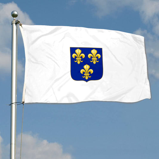 Fyon The Compagnie des Indes occidentales (1664) Flag Banner