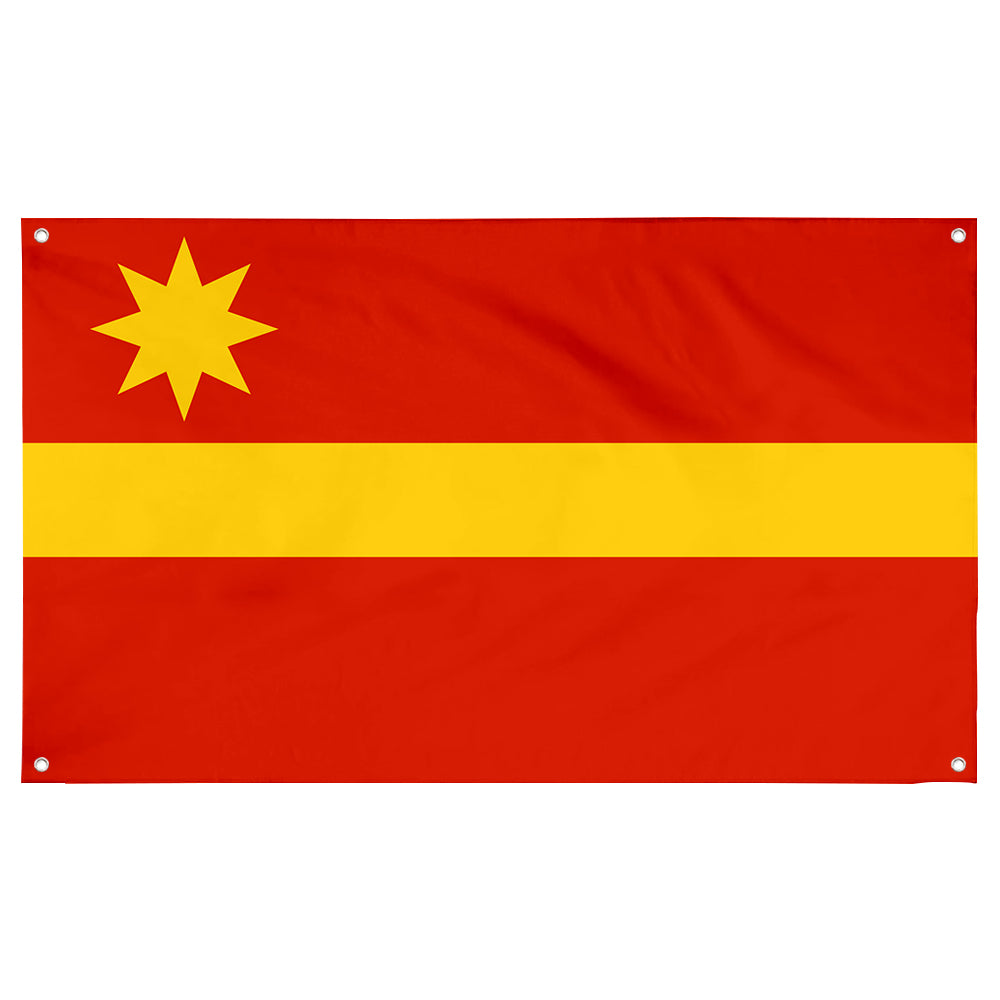 Fyon Toa Alta, Puerto Rico Flag Banner