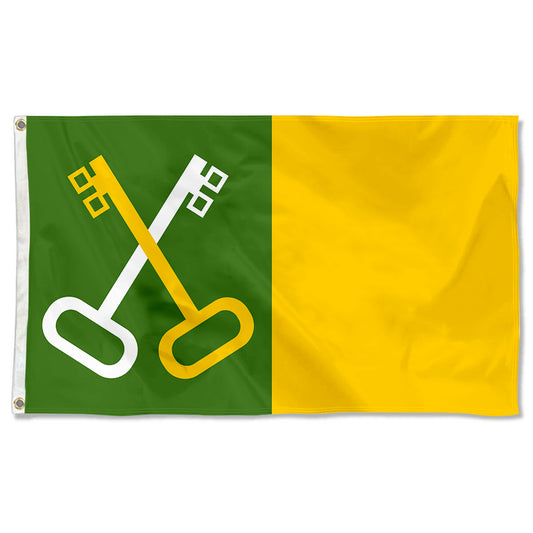 Fyon Toa Baja, Puerto Rico Flag Banner