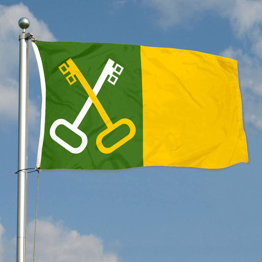 Fyon Toa Baja, Puerto Rico Flag Banner