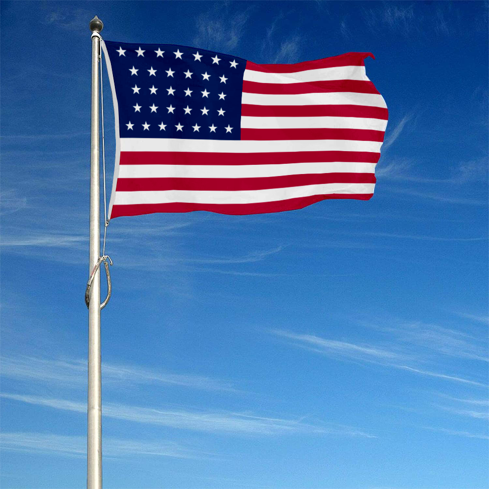 Fyon 1858–1859 the United States flag Banner