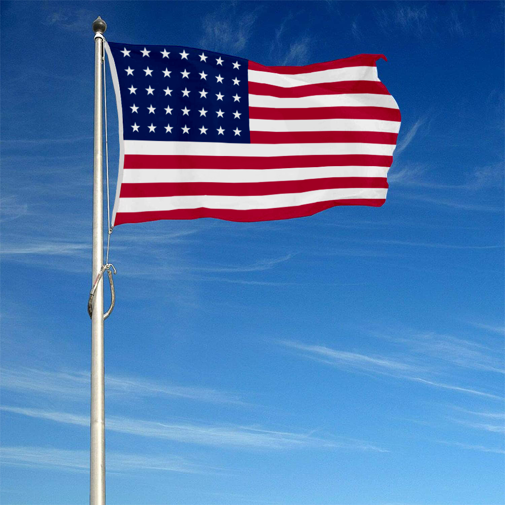 Fyon 1863-1865 America the United States flag Banner