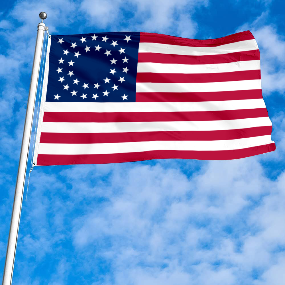Fyon 1863-1865 the United States flag Banner
