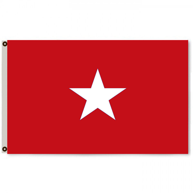 Fyon The "Sibley Flag", Battle Flag of the Army of New Mexico banner