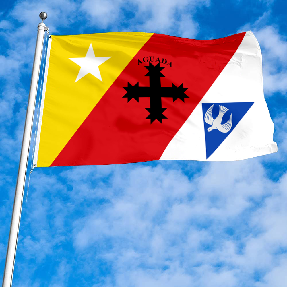 Fyon Aguada, Puerto Rico flag banner
