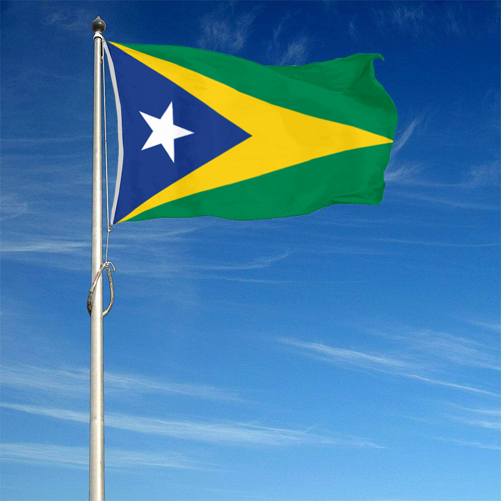 Fyon Aguas Buenas, Puerto Rico flag banner