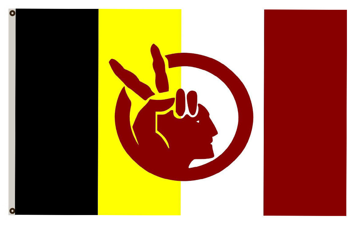 American Indian Movement banner landscape flag