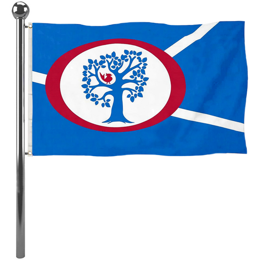 Fyon Annandale, Texas Flag Banner