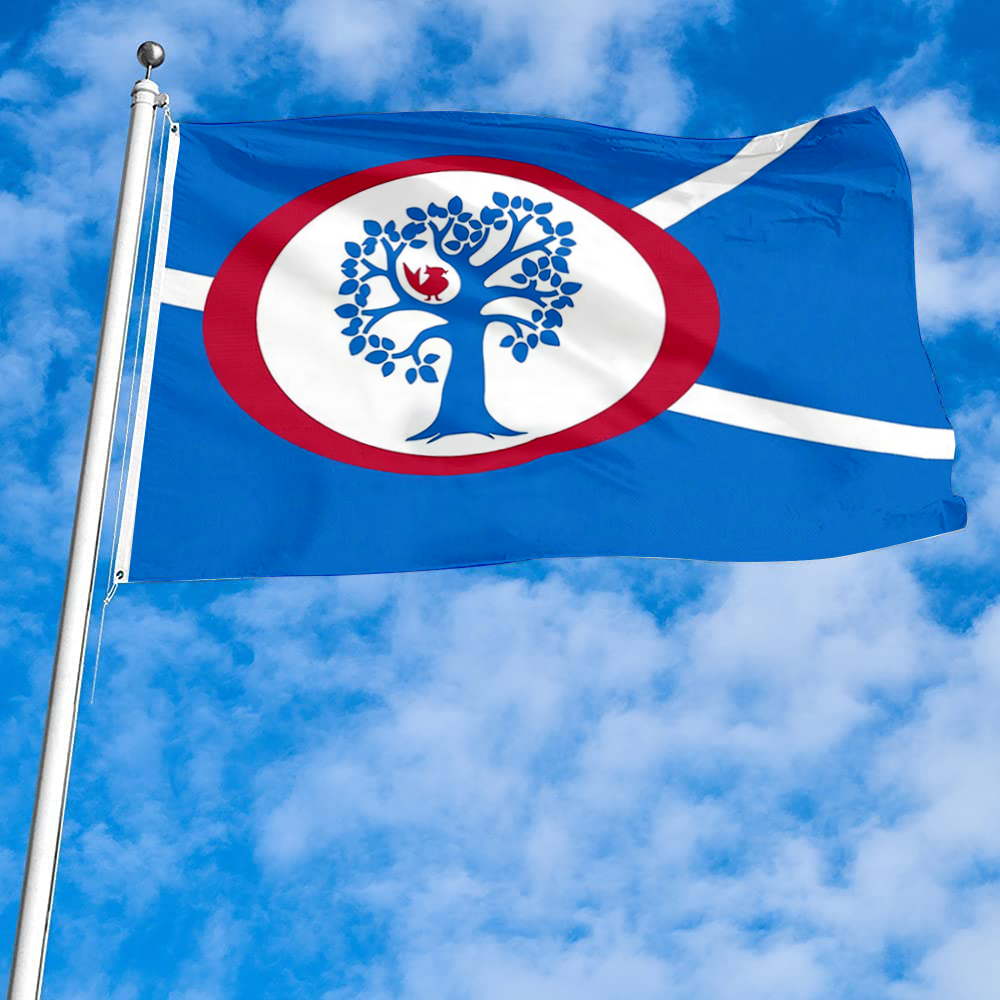 Fyon Annandale, Texas Flag Banner