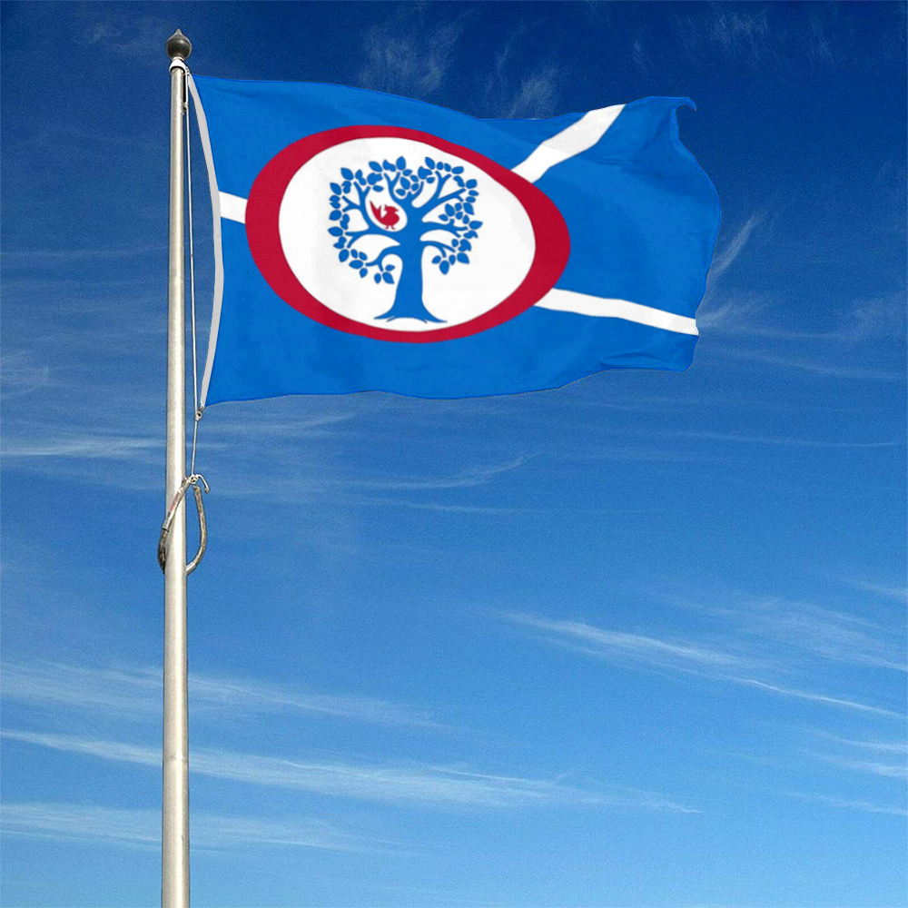 Fyon Annandale, Texas Flag Banner