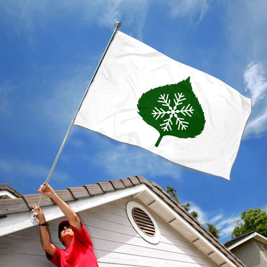 Fyon Aspen, Colorado Flag Indoor and Outdoor Banner