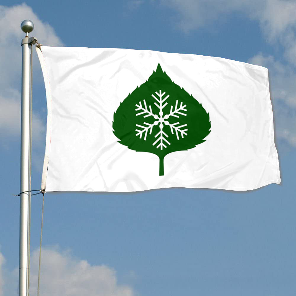 Fyon Aspen, Colorado Flag Indoor and Outdoor Banner