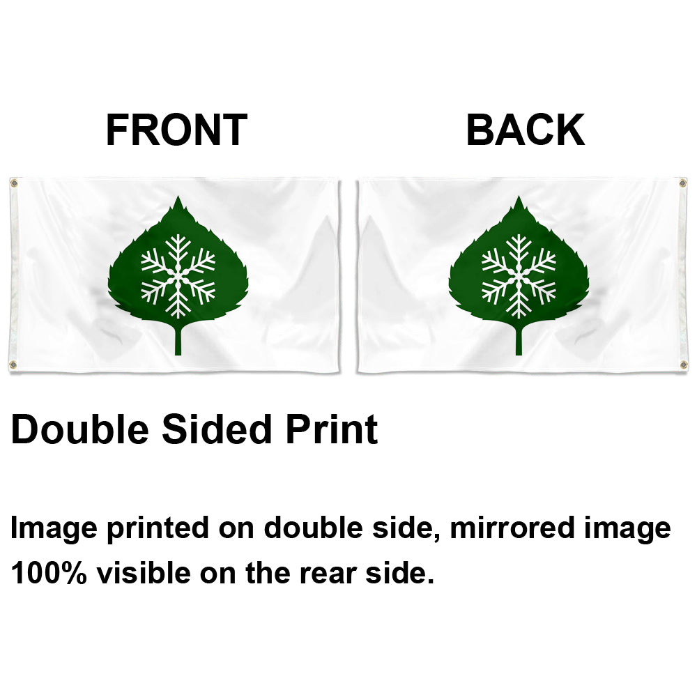 Fyon Aspen, Colorado Flag Indoor and Outdoor Banner