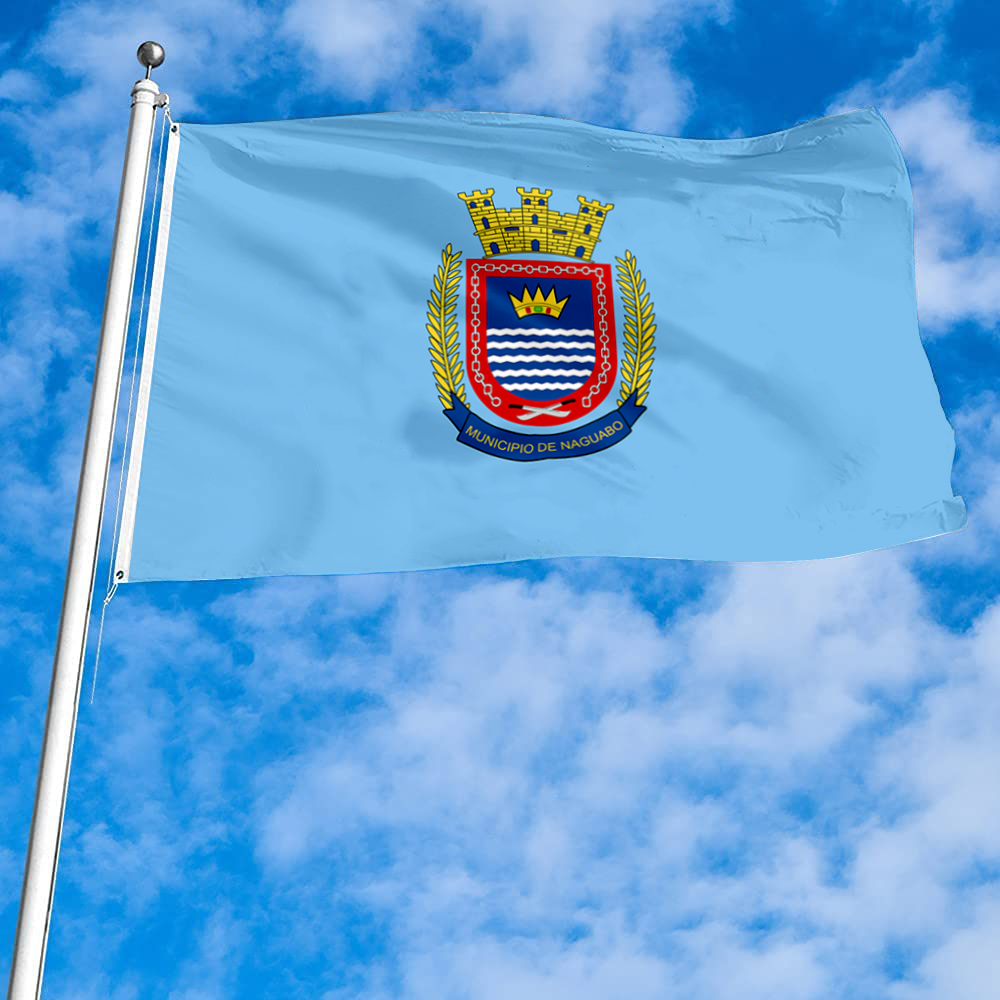 Fyon Bandera de Naguabo, Puerto Rico flag banner
