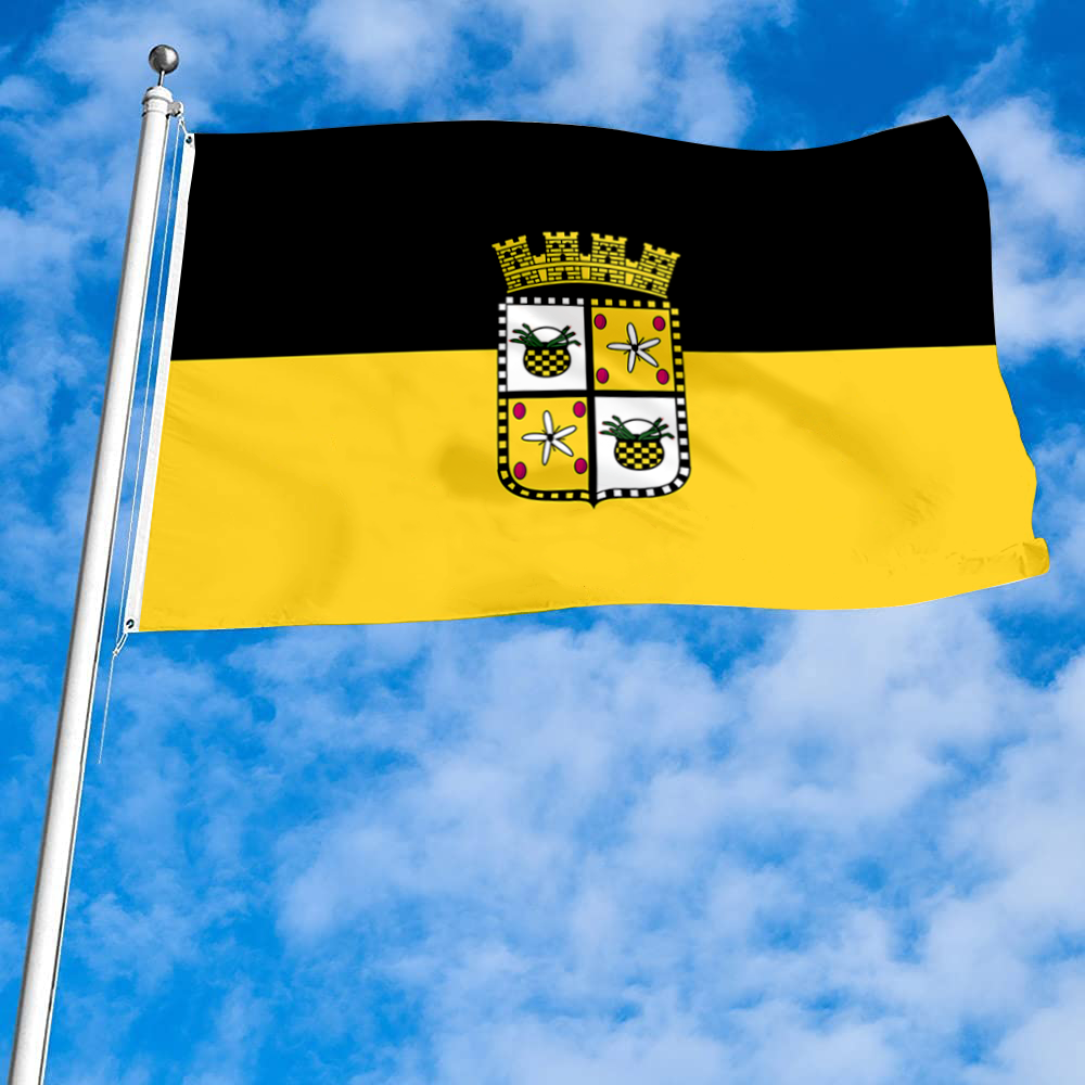Fyon Bandera de Yauco, Puerto Rico flag banner