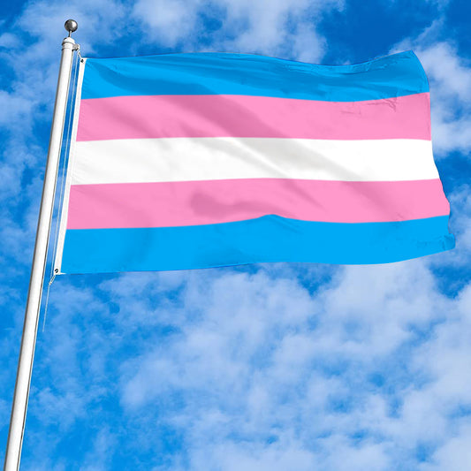 Bandiera Arcobaleno Transgender Flag Banner
